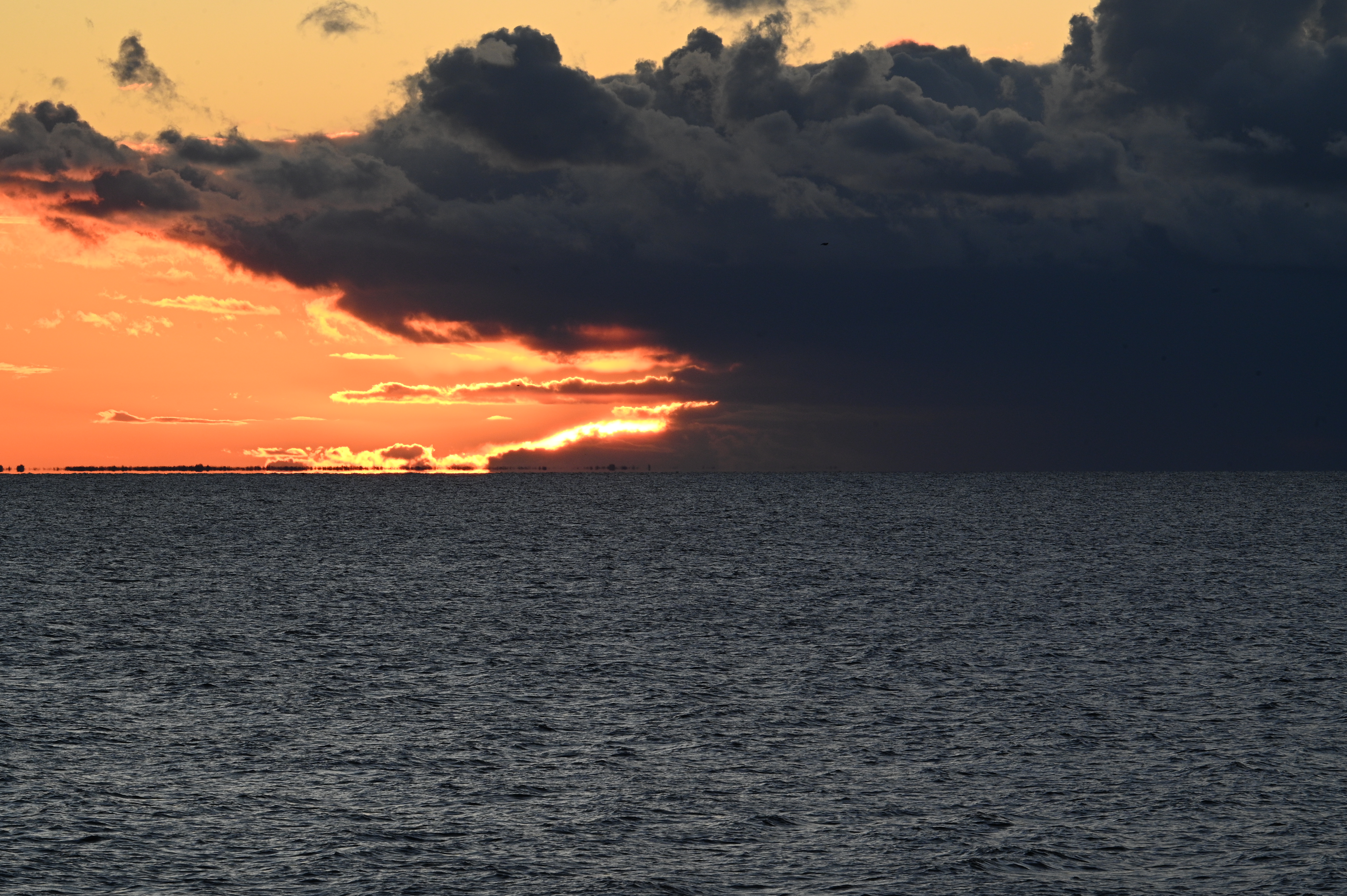 2025/10/18 - walk/DSC_0504.JPG